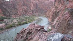 The view from the River Trail.