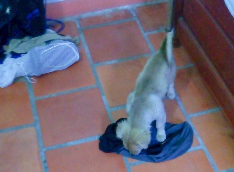 LRM_EXPORT_20180114_220707